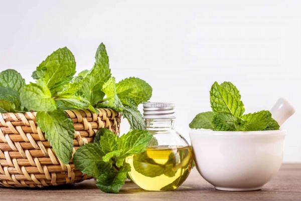 Nane Yağı faydaları Nelerdir? Nane Yağı Nasıl Kullanılır?